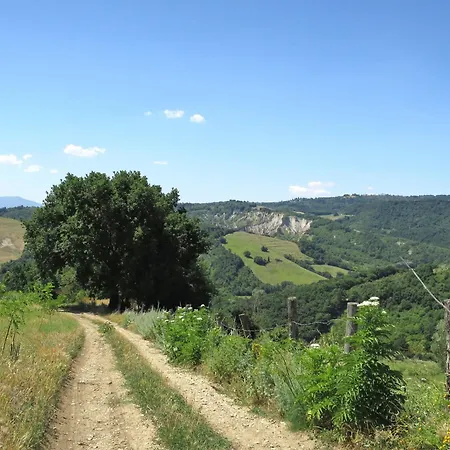 Sociano-3 By Interhome *